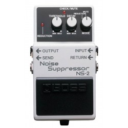 BOSS NS2