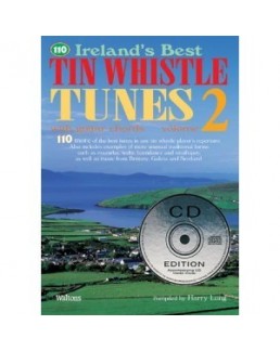 110 ireland's best tin whistle tunes avec CD vol 2