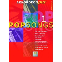 Akkordeon pur pop songs 1