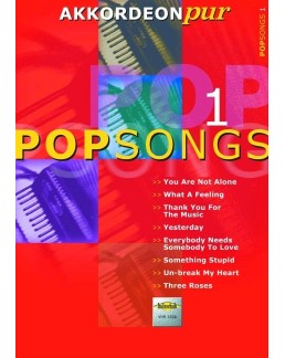 Akkordeon pur pop songs 1