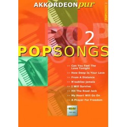 Akkordeon pur pop songs 2