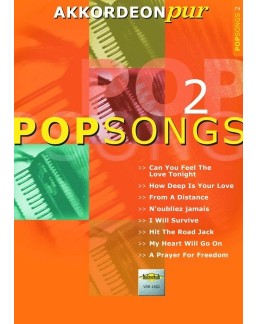 Akkordeon pur pop songs 2