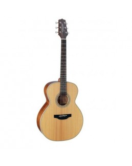 TAKAMINE AUDITORIUM G20NS